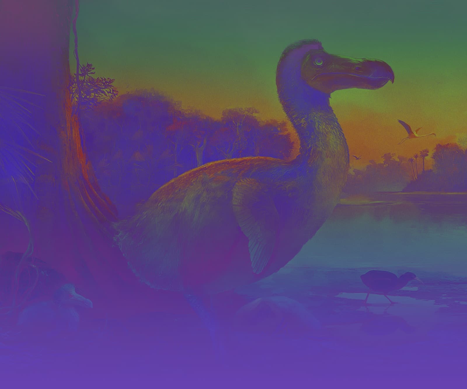 Artistic rendering of the dodo from Colossal Biosciences