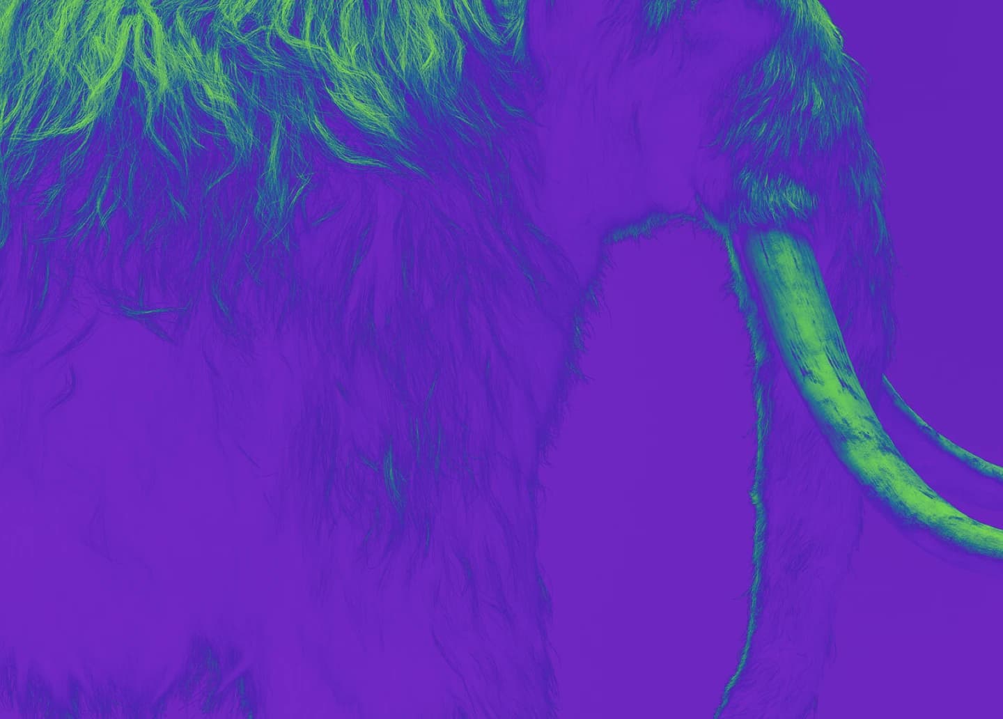 Resurrecting the Woolly Mammoth: How Colossal Plans to Bring Back an Ice Age Giant