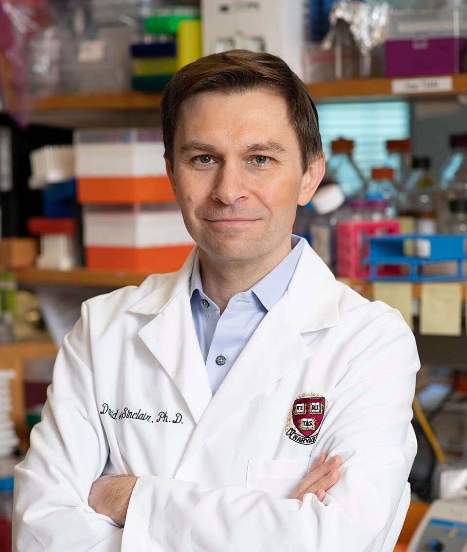 Portrait of David A. Sinclair, Harvard Medical School professor and longevity researcher.