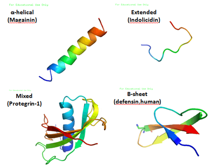 Antimicrobial Peptides: The Ancient Immune System Drug Frontier