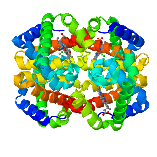 CRISPR Without Scissors: Turning On Fetal Hemoglobin to Treat Sickle Cell Disease